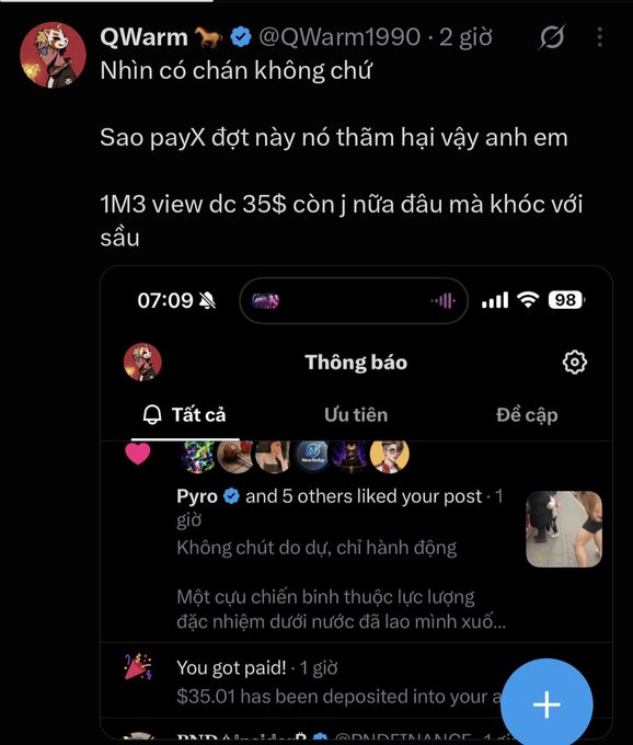 A Vietnamese-language tweet from QWarm (@QWarm1990) saying 'Nhìn có chán không chứ / Sao payX dột này nó thảm hại vậy anh em / 1M3 view dc 35$ còn j nữa đâu mà khóc với sầu', with a screenshot showing a $35.01 payment notification from payX.