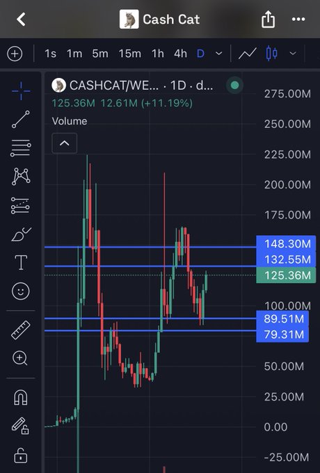 A TradingView chart of CASHCAT/WE shows the token's price at 125.36M with a +11.19% gain, having cleanly retested key support levels around 79.31M-89.51M before bouncing back up. The visible horizontal blue lines mark significant support and resistance zones, illustrating the textbook retest pattern highlighted in the post.