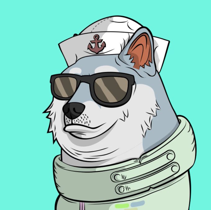 An illustration of a white dog wearing a sailor hat with an anchor, black sunglasses, and a light green hoodie against a turquoise background.