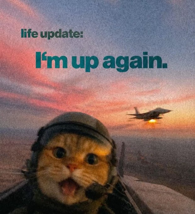 A meme featuring a shocked cat wearing a pilot's helmet in front of a sunset with a fighter jet, captioned "life update: I'm up again." in teal text.