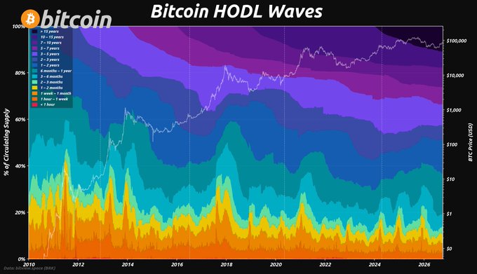 A chart titled 'Bitcoin HODL Waves' showing the percentage of Bitcoin circulating supply held by various time cohorts (under 1 day to 10+ years) from 2010 to 2026, with BTC price data plotted as an overlay.