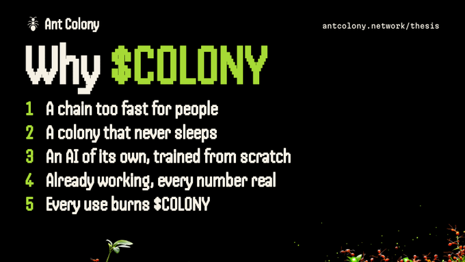 A pitch slide for 'Ant Colony' titled 'Why $COLONY' lists five points: a fast chain, 24/7 operation, custom AI, live functionality, and token utility, with the URL antcolony.network/thesis.