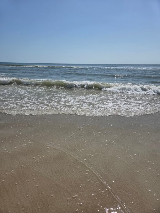 A serene beach scene featuring gentle ocean waves washing onto wet, golden-brown sand under a clear blue sky.