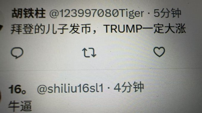 A screenshot of Chinese social media comments joking about absurd stock market logic, with user "胡铁柱 @123997080Tiger" posting "拜登的儿子发币，TRUMP一定大涨" (If Biden's son launches a coin, TRUMP will definitely surge), followed by "16。 @shiliu16s1" replying simply "牛逼" (awesome/f*cking great). The humor in the post stems from the ridiculous non-sequitur connecting Biden's hypothetical cryptocurrency to Trump's stock performance, prompting a sarcastic one-word reaction.