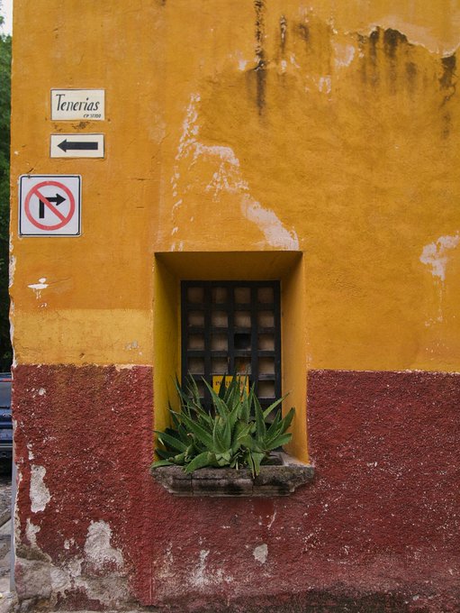 A weathered yellow and red wall features a barred window containing a green agave plant, alongside signs reading 'Tenerías' and a 'no right turn' traffic symbol.