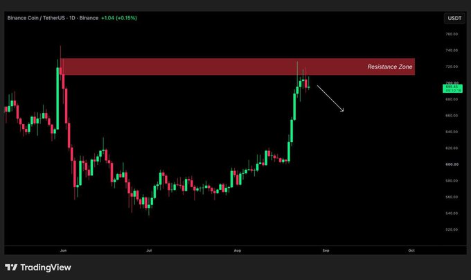 A TradingView candlestick chart for Binance Coin/TetherUS (BNB/USDT) on the daily timeframe, showing a price of +104 (+0.15%) with a red 'Resistance Zone' band drawn near the top and an arrow indicating downward price action.