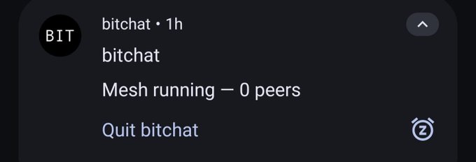 A screenshot of a mobile app interface showing 'bitchat' with the status 'Mesh running — 0 peers' and a 'Quit bitchat' option.