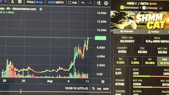 A cryptocurrency trading interface on DEX Screener displays a candlestick chart for the 'HMM/WETH' trading pair on the Robinhood/Uniswap V3 platform, showing price, liquidity ($315K), FDV ($8.0M), and market cap metrics alongside a 'HMM CAT' logo.