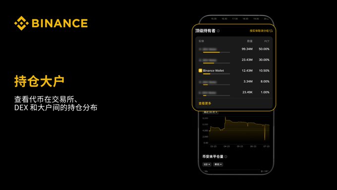 A Binance promotional screen in Chinese featuring '持仓大户' (Top Holders) with a mobile app displaying holder distribution and a historical net inflow chart.