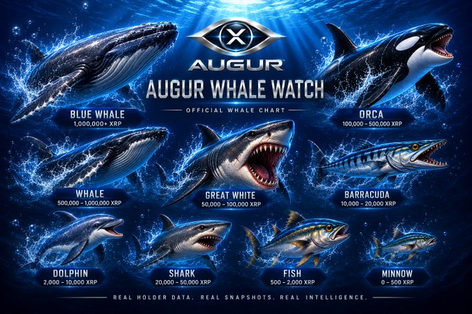 The Augur Whale Watch Official Whale Chart displays nine XRP holder tiers in an ocean-themed ranking system, from Minnow (0–500 XRP) at the bottom up to Blue Whale (1,000,000+ XRP) at the top, with intermediate bands including Fish, Dolphin, Barracuda, Shark, Great White, Orca, and Whale each assigned specific XRP ranges. The image visually reinforces the accompanying post's announcement of these new holder classifications for analyzing XRPL wallet distribution.
