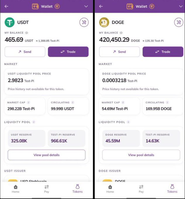 Two Pi Wallet screenshots display testnet token balances: USDT showing 465.69 USDT (≈1,388.85 Test-Pi) with a liquidity pool price of 2.9823 Test-Pi, and DOGE showing 420,450.29 DOGE (≈135.30 Test-Pi) at 0.0003218 Test-Pi—visual evidence supporting the post's claim that simulated USDT and DOGE tokens are now appearing in the Pi ecosystem wallet, hinting at potential cross-chain integration.