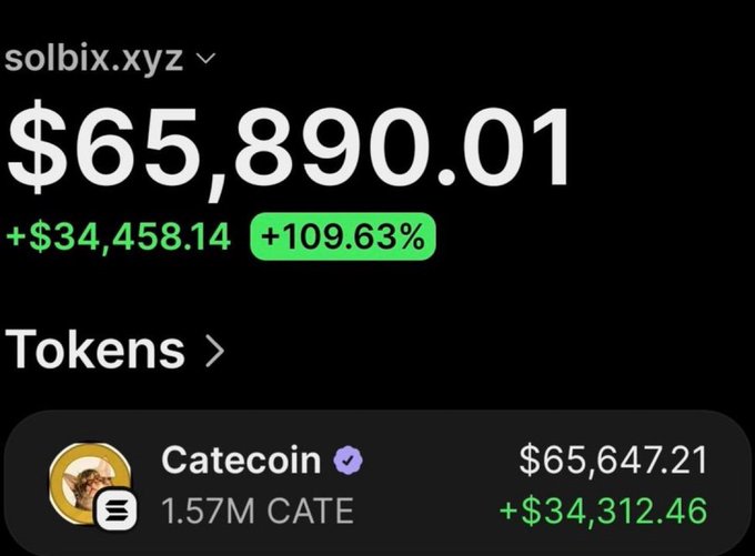 A screenshot of a crypto portfolio tracker for solbix.xyz showing a balance of $65,890.01, up $34,458.14 (+109.63%), with the holdings consisting of 1.57M Catecoin (CATE) valued at $65,647.21. The image illustrates the post's claim of turning a $267 investment into approximately 247x gains.