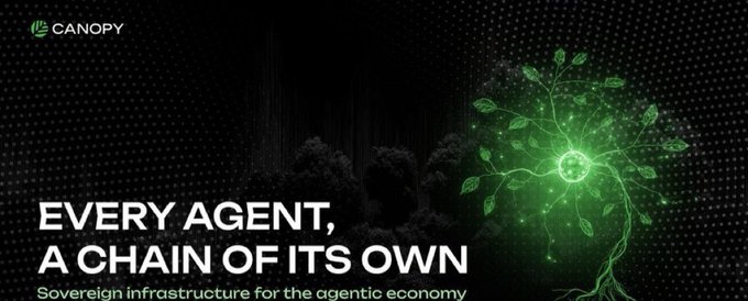 The image features a green tree with leaves growing out of it against a black background. The text "Every Agent, A Chain Of Its Own" is written above the tree, which suggests that the image is related to the concept of blockchain technology or cryptocurrency. The caption below the image reads "Focus on what is in the image and how it relates to the post @CNPYNetwork". This implies that the image might be promoting a new platform or service related to blockchain technology or cryptocurrency, with an emphasis on the importance of understanding the underlying infrastructure and its impact on the user experience.
