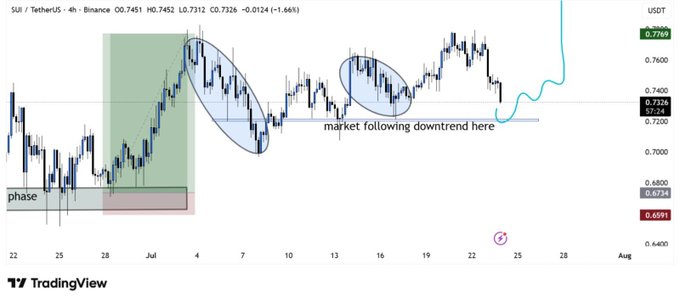 A TradingView candlestick chart for SUI/TetherUS on Binance (4h timeframe), showing a price of 0.7326 with annotations marking a downtrend pattern including 'phase' and 'market following downtrend here'.