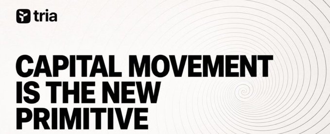 The image features a white banner that reads "Capital Movement Is The New Primitive" above a black text box with the word "@useTria". This suggests that the image is related to a social media platform or blog, possibly discussing the evolution of capital movement and how it has changed over time.