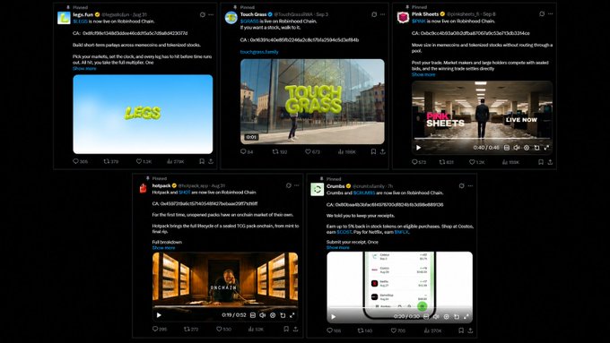 Five pinned crypto promotional tweets from accounts including Solcasino, Duckcoin, Pink Sheets, Hopium, and Rewards display campaigns with crypto addresses and videos, illustrating the easily replicated nature of meme coin promotions that the post critiques as lacking true fundamentals beyond surface-level marketing.