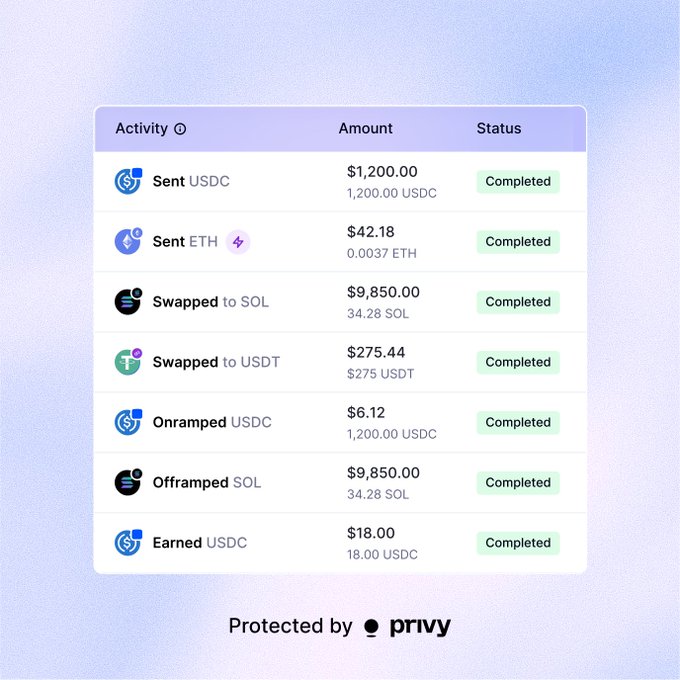 A financial activity table shows various cryptocurrency transactions including USDC, ETH, and SOL, all marked as Completed, displayed against a pastel gradient background with 'Protected by privy' branding.