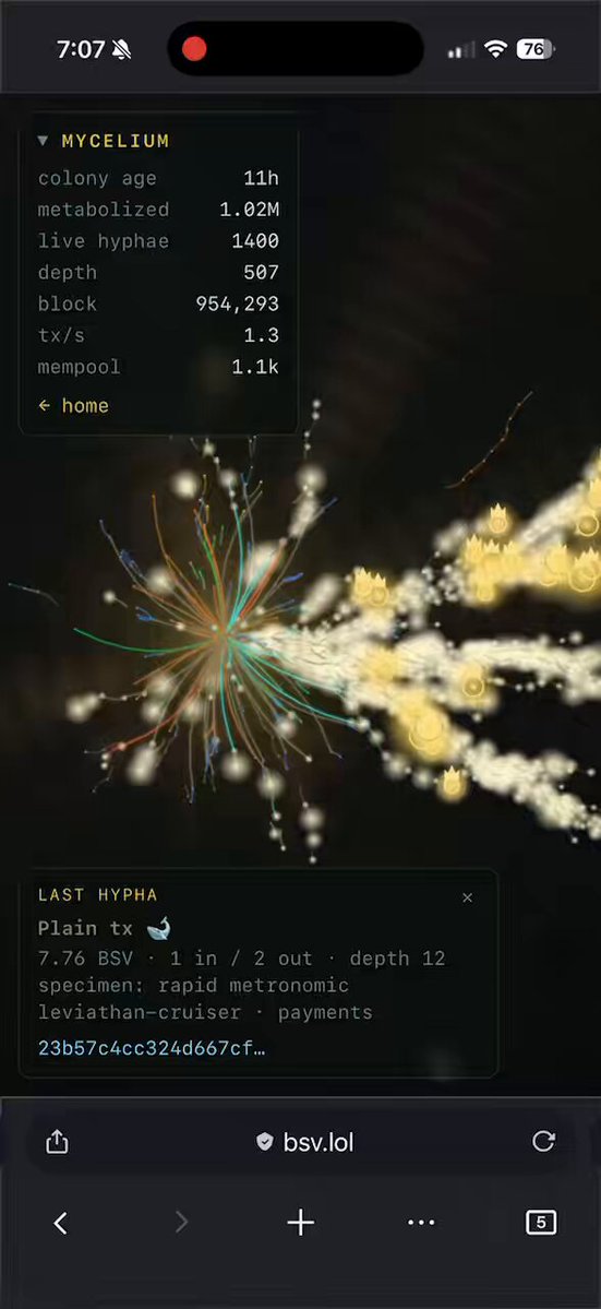 The image shows a phone screen with an app icon that says "bsv. lol/mycelium" which appears to be related to Bitcoin. The app has a dark background, and there are several options displayed such as "PYCELIUM", "RADICALGE", "RETRICULA", "HYPHABIS", "DEEP", "HUMAN", "BLACK", "BLACKLING", "MEMORY", "MEMORY", "MEMORY", and "MEMORY". The app also has a "LAST HYPHIA" option, which is likely related to Bitcoin.