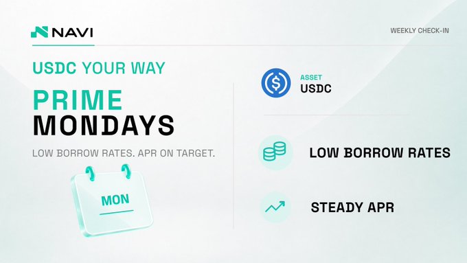 A promotional graphic for 'NAVI' advertises 'PRIME MONDAYS' with the tagline 'USDC YOUR WAY' and lists benefits including 'ASSET USDC', 'LOW BORROW RATES', and 'STEADY APR'.