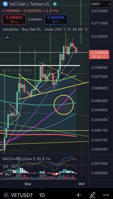 A cryptocurrency trading chart showing the VeChain/TetherUS (VETUSDT) pair with technical indicators, displaying a downward trend with text '0.008906 -0.000305 (-3.31%)'.