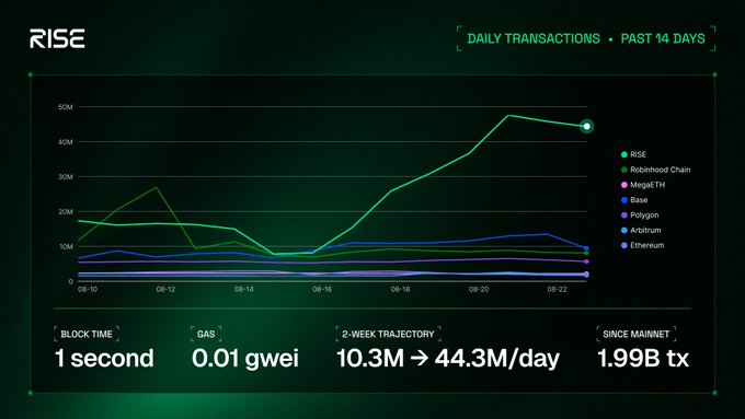 A line chart from RISE displays daily transactions over the past 14 days (08-10 to 08-22), with RISE's green line spiking to over 44M, far above competitors like Robinhood Chain, MegaETH, Base, Polygon, Arbitrum, and Ethereum. Supporting stats highlight a 1-second block time, 0.01 gwei gas, a 2-week trajectory from 10.3M to 44.3M daily transactions, and 1.99B total transactions since mainnet—visually reinforcing the post's claim that RISE processed over 42M transactions in the past 24 hours.