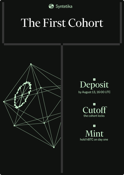 A promotional graphic for Syntetika titled 'The First Cohort', listing steps '1. Deposit by August 13, 16:00 UTC', '2. Cutoff the cohort locks', and '3. Mint hold hBTC on day one', with a geometric chain-link design on the left.
