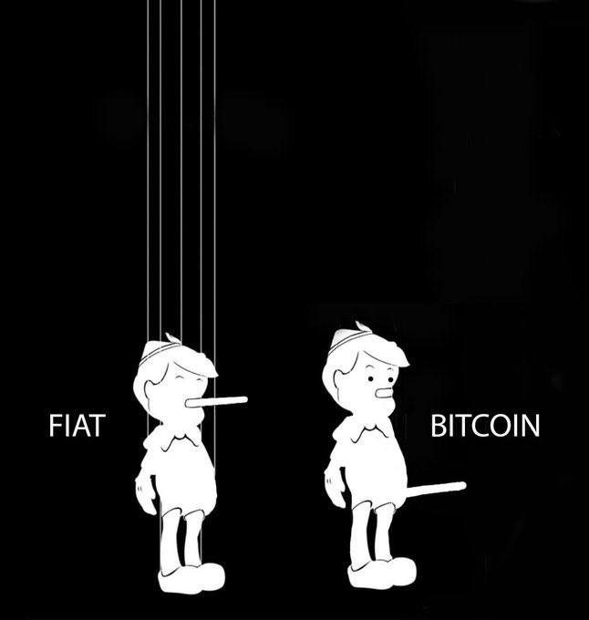 A Pinocchio puppet analogy illustration contrasting 'FIAT' (depicted as Pinocchio with a long nose) versus 'BITCOIN' (depicted as Pinocchio with a long wooden nose but not a liar), commenting on the perceived authenticity of each.
