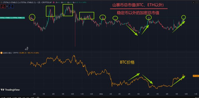 A TradingView chart in Chinese analyzing BTC, comparing the total crypto market cap excluding stablecoins to BTC price, with annotations highlighting correlation patterns using arrows and circles.
