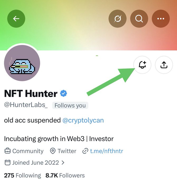 A screenshot of a Twitter/X profile for 'NFT Hunter' (@HunterLabs_), verified, with bio 'old acc suspended @cryptolycan, Incubating growth in Web3 | Investor', showing 8.7K followers and a green arrow pointing to a button.