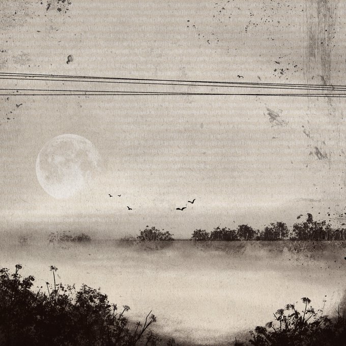 A moody, monochromatic photograph shows a misty landscape with a full moon, birds flying in the distance, and silhouettes of trees and wildflowers in the foreground, overlaid with faint, repeated text.