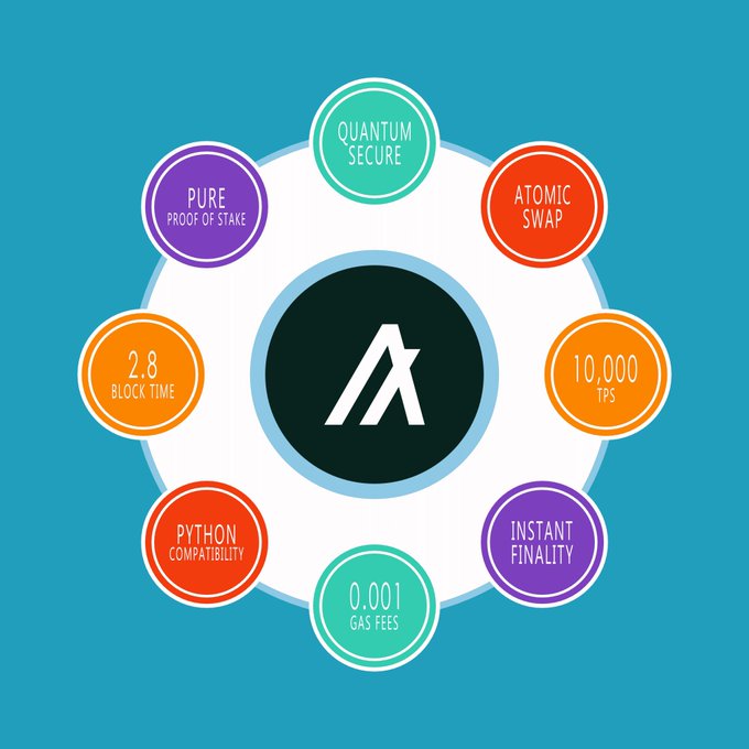 The image features a blue circle with a logo of a "A" inside of it, surrounded by a variety of circles containing different types of information about Algo. One particularly intriguing circle reads "Implementing blocks of code that run on the Ethereum protocol". Another circle states "Answering questions about Atomic swap". A third circle contains text describing the benefits and features of Algo. The entire arrangement is set against a blue background, with small, colorful bubbles surrounding each piece of information, creating an eye-catching visual effect that draws attention to the various aspects of Algo.