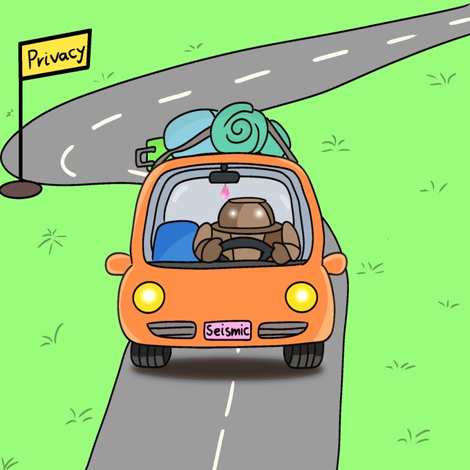 A cartoon depicting a character with a shell on their head driving an orange car with 'Seismic' license plate past a 'Privacy' sign.