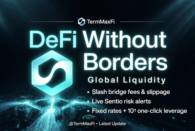A promotional graphic for TermMaxFi (@TermMaxFi) featuring the headline "DeFi Without Borders" and "Global Liquidity," highlighting benefits like slashed bridge fees & slippage, live Sentio risk alerts, and fixed rates plus 10× one-click leverage. The image visually reinforces the post's message about cross-chain DeFi by showcasing a glowing hexagonal logo and a futuristic network display symbolizing seamless, borderless liquidity.