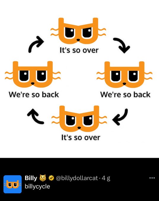 A meme featuring a cartoon orange cat's face with the phrases "It's so over" and "We're so back" arranged in a circular flow chart, posted by Billy (@billydollarcat) and captioned "billycycle $billy," referencing the cyclical nature of the cryptocurrency's hype and crashes.