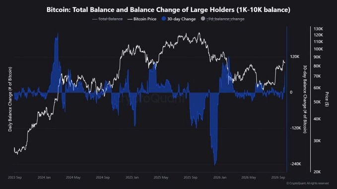 The image is a CryptoQuant chart titled "Bitcoin: Total Balance and Balance Change of Large Holders (1K-10K balance)" tracking from September 2023 to September 2026, showing Bitcoin price (white line) ranging from $20K to $130K alongside the 30-day balance change (blue bars) of whales holding 1,000-10,000 BTC. The chart visually supports the post's claim, displaying a sharp recent spike in large-holder balances with approximately 75,000 BTC added over 30 days as Bitcoin trades near $110K, indicating significant whale accumulation at elevated price levels.