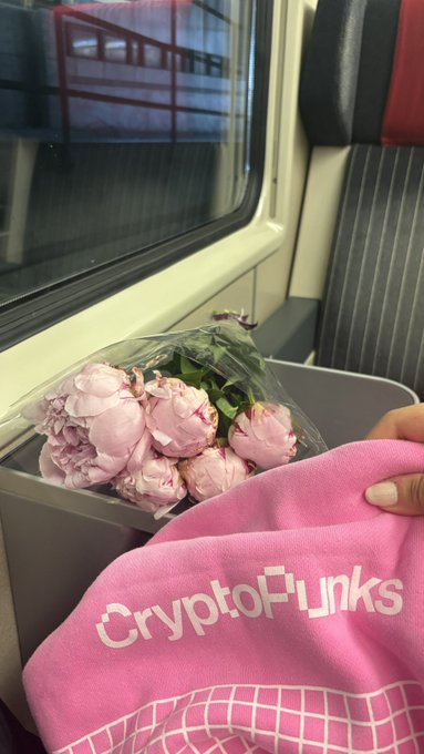 The image shows a pink towel hanging from a train seat, which has a bouquet of pink peonies placed on top of it. The towel also features the words "CryptoFunks" written on it. In the background, there is another person sitting in the same seat as the towel holder.