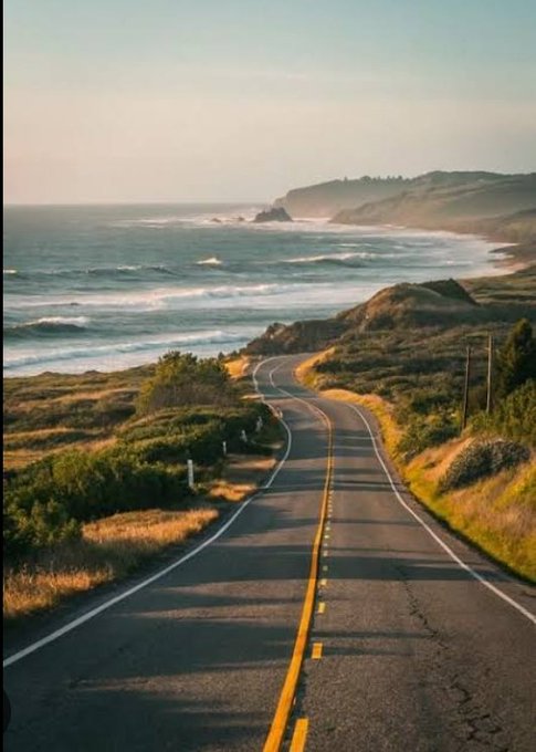 A scenic coastal highway winding along the ocean at sunrise, its endless road disappearing into the horizon toward distant cliffs and rolling waves. The image pairs perfectly with the post's message about starting each day with curiosity and showing up consistently—much like the open road that invites forward motion toward new opportunities.

No text, numbers, tickers, or names are visible in the image itself.
