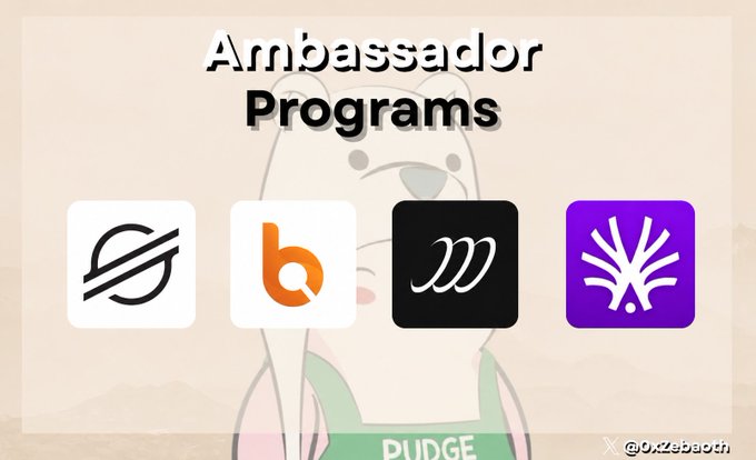 A promotional graphic titled 'Ambassador Programs' displaying logos for Stellar (XLM), BitQuery (b), a custom 'm' logo, and a purple tree icon over a cartoon bear background, credited to @OxZebaoth.