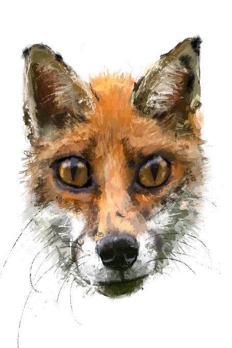 A watercolor-style portrait of a fox's face with striking orange, brown, and white fur against a plain white background.