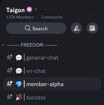Screenshot of a Discord community server named "Taigon 🌸" with 1,376 members, showing channels including general-chat, vn-chat, member-alpha, and success under the FREEDOM category.