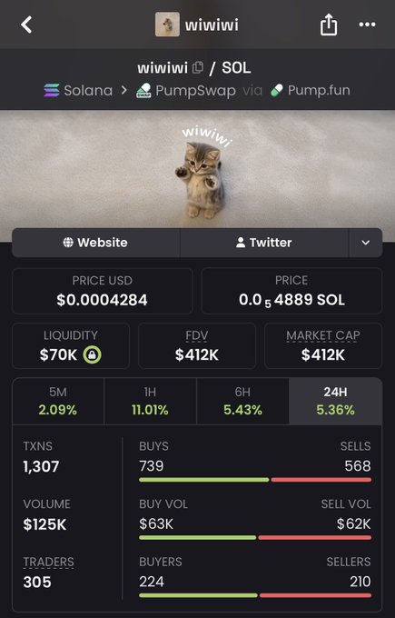 A cryptocurrency tracking page for the meme token "wiiwiwi" on the Solana blockchain via PumpSwap, showing a price of $0.0004284, a market cap of $412K, and 1,307 transactions.