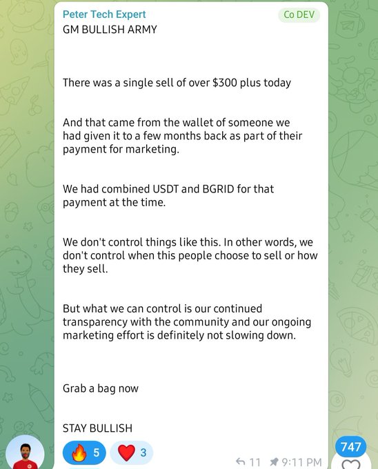 A screenshot of a Telegram post by 'Peter Tech Expert (Co DEV)' on the 'GM BULLISH ARMY' channel explaining a $300+ sell came from a marketing payment wallet and urging followers to 'STAY BULLISH' and 'Grab a bag now,' showing 5 fire reactions, 3 hearts, 11 replies, and 747 views at 9:11 PM.