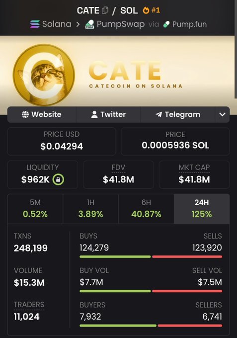 A meme coin dashboard for $CATE on the Solana blockchain (via PumpSwap/Pump.fun), priced at $0.04294 (0.0005936 SOL) with a $41.8M market cap and a notable 125% price surge over 24 hours among 11,024 traders.