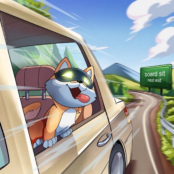 An animated cartoon illustration of a happy orange and white cat wearing sunglasses while leaning out of a moving vehicle's window, with a road sign reading 'board sit next exit'.