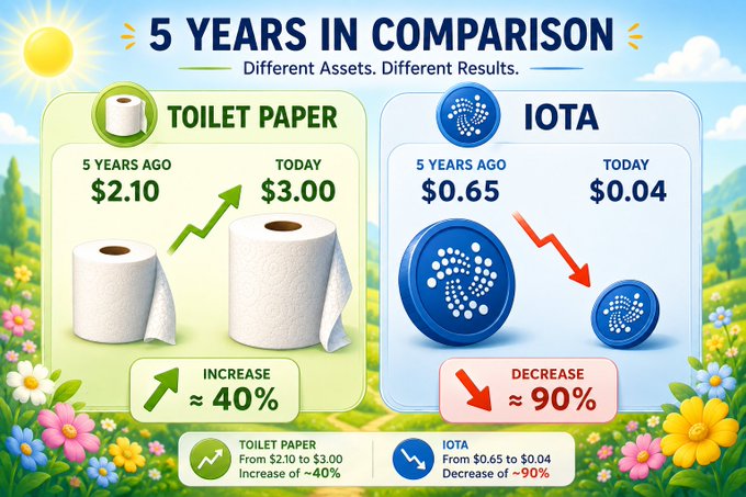 Infographic titled '5 Years in Comparison' contrasting Toilet Paper (increased ~40% from $2.10 to $3.00) with IOTA cryptocurrency (decreased ~90% from $0.65 to $0.04).