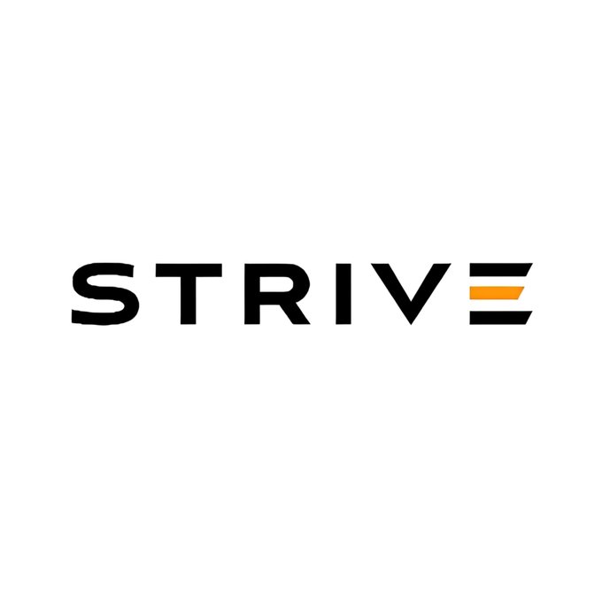 A simple logo on a white background displays the word 'STRIVE' in bold black letters, with the 'E' stylized using orange and black geometric shapes.