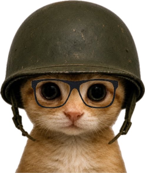 A cute ginger kitten wearing oversized black-framed glasses and a vintage military helmet, photographed against a white background.
