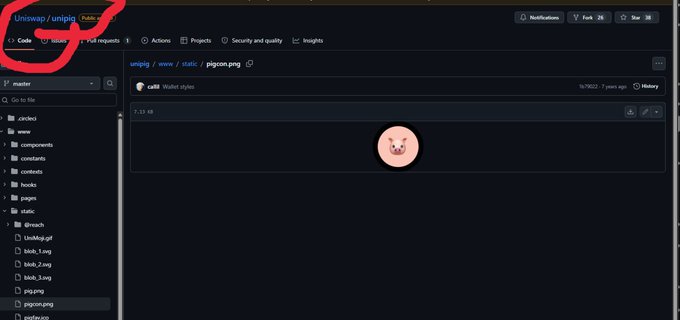 A GitHub repository page for "uniswap/unipig" is shown, with a hand-drawn red circle highlighting the repo name and tabs (Code, Issues, Pull requests) in the upper left, while the main view displays a pink pig icon image file. The image relates to the post by showing the archived/unlisted Uniswap "Unipig" project repository, providing visual proof of the experimental DEX referenced in the caption.