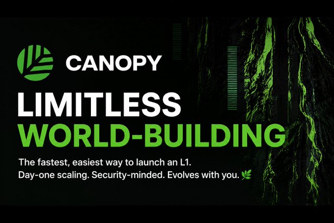 The image features a black background with green text that reads "Canopy Limitless World-Building" and "The fastest, easiest way to launch an L1". The text also mentions that Canopy makes it easier for teams to launch their own blockchain in days while maintaining ownership of their project.