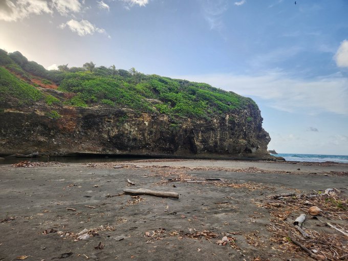 A rugged coastal cliff covered in lush greenery rises above a driftwood-strewn black sand beach under a bright blue sky.

The scene pairs with the "GM CT" post as a visual reminder to step outside and "touch grass"—offering a tranquil natural escape that mirrors the calming weekend vibes of DCAing after a long week.